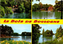 14-12-2023 (2 W 6) France - PAris - Le Bois De BOulogne - Arbres