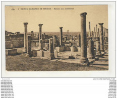 Ruines Romaines De Timgad ( Près De Batna ) Maison Aux Jardinières - Batna