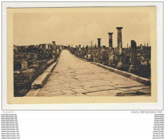 Ruines Romaines De Timgad  ( Près De Batna ) Voie Du Cardo Maximus Nord - Batna