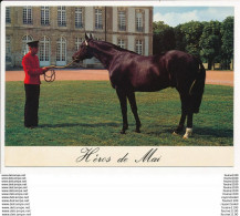 Carte ( Format 15 X 10,5 Cm )  EXMES Le HARAS DU PIN  HEROS DE MAI  Trotteur Français - Exmes