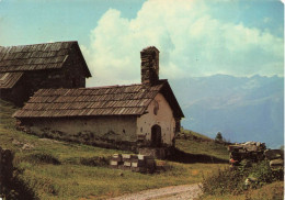 FRANCE - La Vallouise - Sur Le Sentier Du Lac De L'Eychauda (Les Chalets De Chambran) - Carte Postale - Altri & Non Classificati