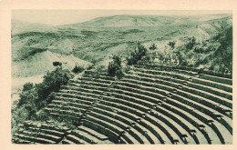 ALGERIE - Djemila - Les Gradins Du Théâtre - Carte Postale Ancienne - Scènes & Types