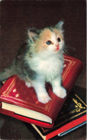 ANIMAUX - Chats - Livres - Carte Postale Ancienne - Chats