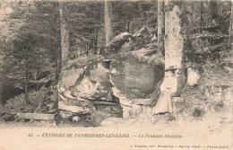 FRANCE - Environs De Plombières Les Bains - La Fontaine Stanislas - Forêt - Carte Postale Ancienne - Plombieres Les Bains