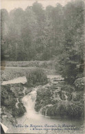 BELGIQUE - Vallée Du Hoyoux - Cascade De Roiseux - Carte Postale Ancienne - Sonstige & Ohne Zuordnung