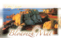 FRANCE - Côtes D'Armor - Bloavezh Mat - Rochers - Côtes - Océan - Carte Postale - Andere & Zonder Classificatie