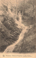 BELGIQUE - Nonceveux - Vallon Du Ninglinspo - Le Bain De Diane - Carte Postale Ancienne - Aywaille