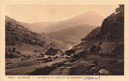 FRANCE - Bussang - La Route Du Col Et Le Drumont - Chalet De Montagne - Carte Postale Ancienne - Bussang