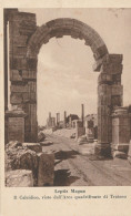 CARTOLINA NON VIAGGIATA PRIMI 900 LEPTIS MAGNA CALCIDICO- COLONIE ITALIANE (CT272 - Libia