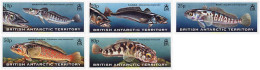 57010 MNH ANTARTIDA BRITANICA 1999 PECES DE LA ANTARTIDA - Ungebraucht