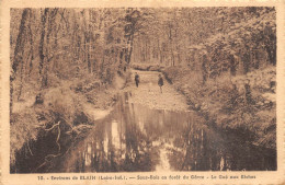 LE GAVRE    FORET  LE GUE AUX BICHES - Le Gavre