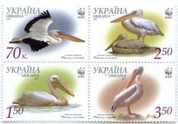 UKRAINA 2007 MI.897-900A** - Storchenvögel