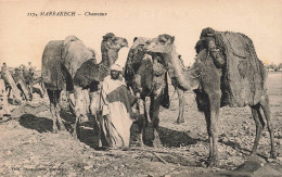 MAROC - Marrakech - Chameaux - Carte Postale Ancienne - Marrakesh