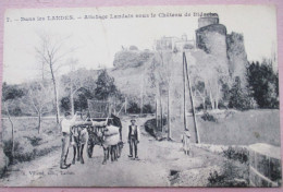 Attelage Landais Sous Le Château De BIDACHE - Avec Belle Animation - Bidache