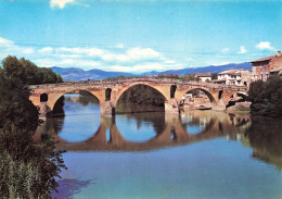 ESPAGNE - Pont De La Reine - Vue Générale Du Pont Des Pelerins - Colorisé - Carte Postale - Navarra (Pamplona)