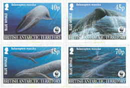 127281 MNH ANTARTIDA BRITANICA 2003 BALLENA AZUL - Ongebruikt