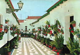 ESPAGNE - Malaga - Une Rue Typique De El Palo - Colorisé - Carte Postale - Malaga