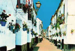 ESPAGNE - Malaga - Une Rue Typique Du Quartier De La Trinité - Colorisé - Carte Postale - Málaga