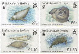 235067 MNH ANTARTIDA BRITANICA 2009 FOCAS - Unused Stamps