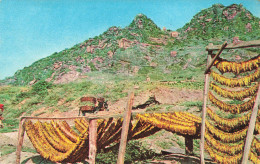 MACEDOINE - Prilep - Un Paysage Dans Les Montagnes - Colorisé - Carte Postale - Noord-Macedonië