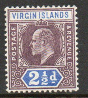 Virgin Islands 1904 EVII 2½d Dull Purple & Ultramarine, Wmk. Multiple Crown CA, Hinged Mint, SG 57 (WI) - British Virgin Islands