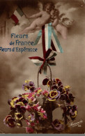 CPA Fleurs De France Fleurs D'espérance - Anges