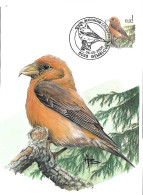 Belgium  - Buzin - Maximum Card 2000 Gembloux : Red Crossbill  -  Loxia Curvirostra - 1991-2000