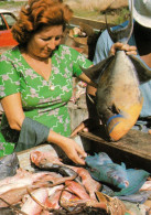 3 AK Saint-Martin Ein Französisches Überseegebiet In Der Karibik * Fisch Markt In Marigot Und 2 Hotelanlagen * - Saint Martin