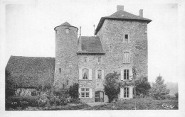Crémieu * Environs * Le Château De Mont Iracle , Côté Sud - Crémieu