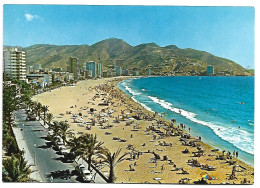 PLAYA / PLAGE / BEACH.-  BENIDORM / ALICANTE.- ( ESPAÑA ) - Alicante