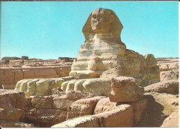 Giza (Egitto, Egypt) The Great Sphinx And Pyramids By Night, Sfinge E Piramidi, Notturno, La Nuit - Sphinx