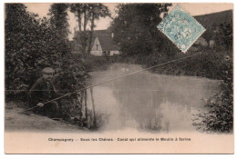 Sous Les Chênes. Canal Qui Alimente Le Moulin à Farine. Carte Glacée - Champagney