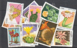 CACTUS. Beau Lot De 15 Timbres Différents Oblitérés , Grands Formats , 1 ère Qualité . Lot # 3 - Mezclas (max 999 Sellos)