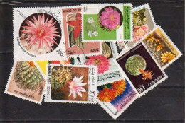 CACTUS. Beau Lot De 15 Timbres Différents Oblitérés , Grands Formats , 1 ère Qualité . Lot # 4 - Mezclas (max 999 Sellos)