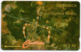 Dominica - Coral Banded Shrimp - 7CDMD (with Regular O) - Dominica