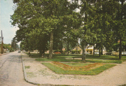 Morsang Sur Orge (91 - Essonne)  La Place Des Tilleuls - Morsang Sur Orge