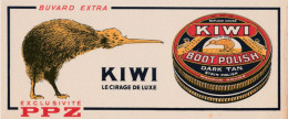 Buvard -  Kiwi - Produits Ménagers