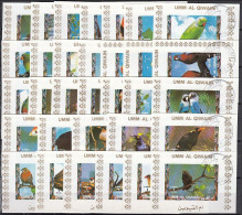 Umm Al Qiwain 1972 (Used) - Ruddy Ground Dove......Dusky Twinspot (Blocs) - Collections, Lots & Séries