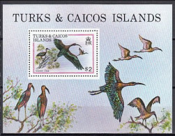 Turks & Caicos 1980 (MNH) (Mi BL21) - Glossy Ibis (Plegadis Falcinellus) - Collections, Lots & Series