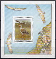 Transkei 1991 (MNH) (Mi BL8) - Egyptian Vulture (Neophron Percnopterus) - Collections, Lots & Séries
