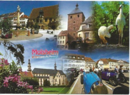 Carte Postale: MOLSHEIM, ALSACE:Plusieurs Vues. - Molsheim