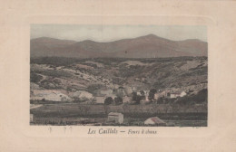 13 / MARSEILLE / LES CAILLOLS / FOURS A CHAUX .GAUFFREE COLORISEE - Les Caillols, La Valentine