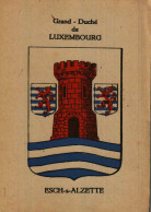 ESCH-SUR-ALZETTE   -  Blason De La Ville D'Esch-sur-Alzette - Esch-sur-Alzette