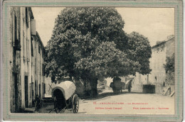 CPA (81) ANGLES - Thème: ARBRE - Aspect Du Marronnier En 1928 - Angles