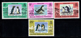 Territoire Antarctique Britannique 1979 Mi. 74-77 Neuf ** 100% Manchots BAT - Nuovi