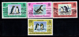 Territoire Antarctique Britannique 1979 Mi. 74-77 Neuf ** 100% Manchots BAT - Ongebruikt