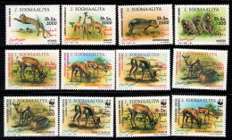 Somalie 1992 Mi. 432-443 Neuf ** 100% Animaux, Faune - Somalie (1960-...)