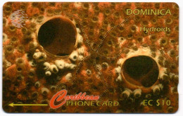 Dominica - Hydroids: 9CDMC (with Ø) - Dominica