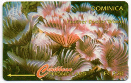 Dominica - Feather Duster Worm - 9CDMG (with Ø) - Dominique