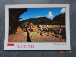 TANA TORAJA  SULAWESI - Indonésie